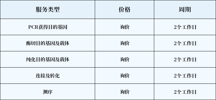 载体构件2.jpg